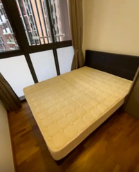 Sims Urban Oasis (D14), Condominium #497556581